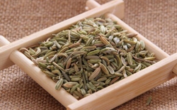 如何選擇茶葉包裝機(jī)廠家？選擇標(biāo)準(zhǔn)解析茶葉包裝機(jī)廠家。